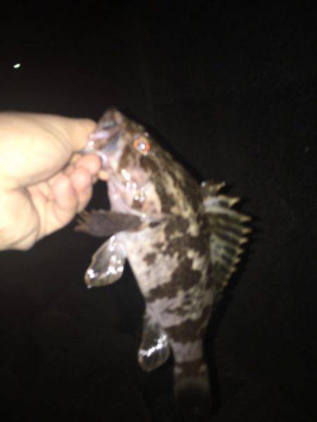 仕事終わりに。