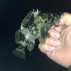 昨夜から朝方まで！！激寒釣行