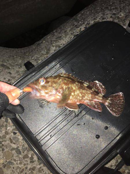 ガシリンクからのメバリング