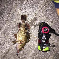 アジ探しメバリング