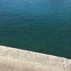 ちょい投げキス