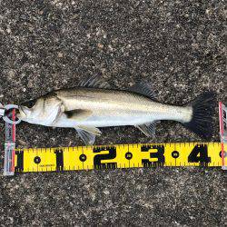 粘って、なんとか…