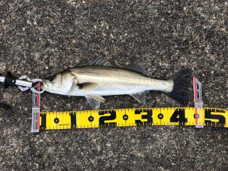 粘って、なんとか…