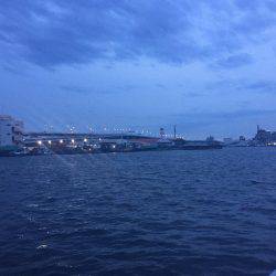 初シーバス？？