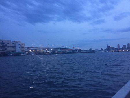 初シーバス？？