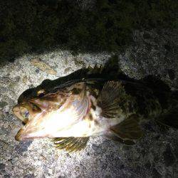 メバリング釣行