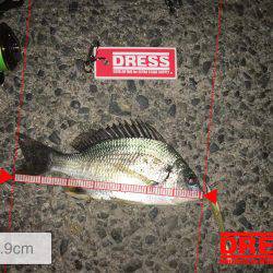 テクトロでキビレ