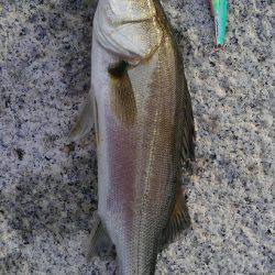 かぶと山公園にて(笑)。