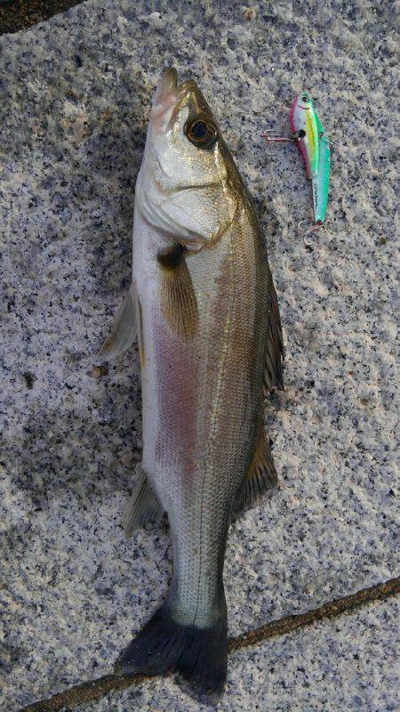 かぶと山公園にて(笑)。