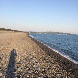 煙樹ヶ浜で初青物