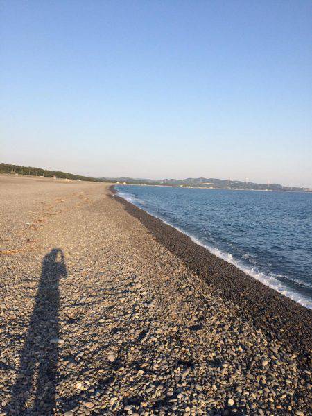 煙樹ヶ浜で初青物