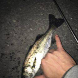 プラグにヒット