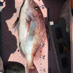 マイボートでタイラバ、ジギング