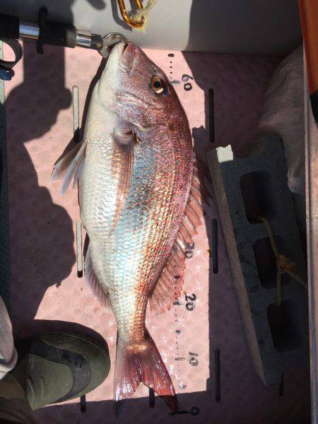 マイボートでタイラバ、ジギング