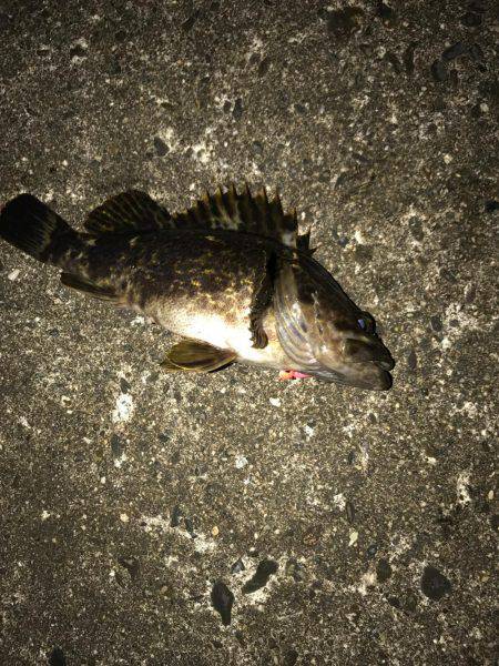 早朝から頑張ったのに…