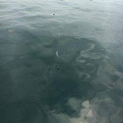 ファミリーフィッシング！