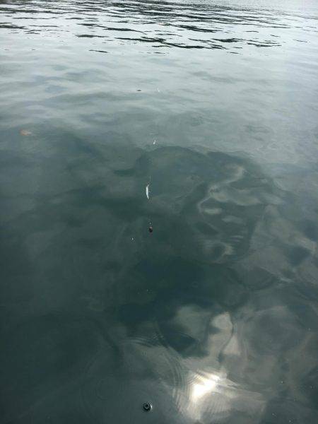 ファミリーフィッシング！