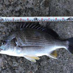 潮の流れが川のよう