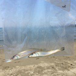 やめられまへん穴釣りは♪