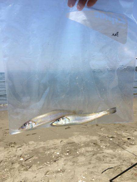 やめられまへん穴釣りは♪