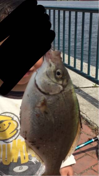 なぎさ公園にてチヌ狙うも