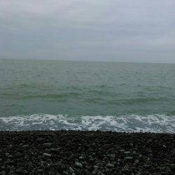 エソ1グランプリ