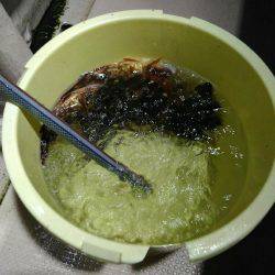 初めての船釣り【釣人屋・ロックフィッシュショート便】