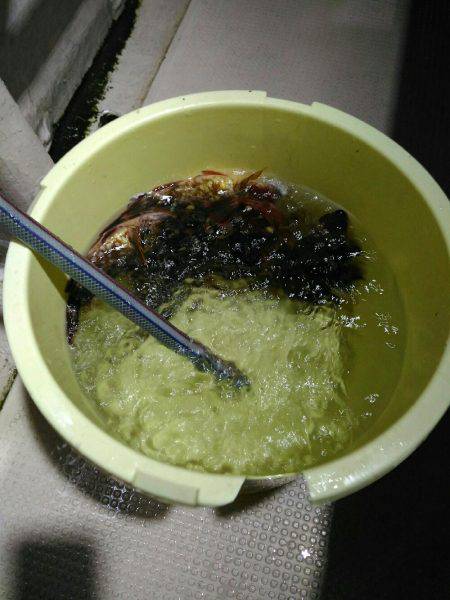 初めての船釣り【釣人屋・ロックフィッシュシ…