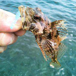 今日は渋かった～！