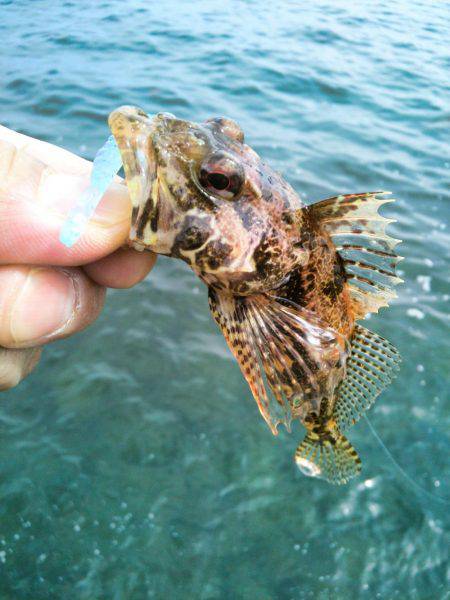 今日は渋かった～！