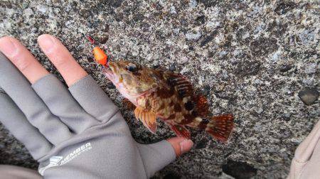 午後からのんびりブラクリ。