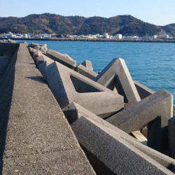 南紀遠征の帰りに❗