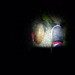 まだまだ小さい？