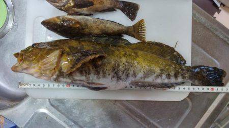 秋田市通称軍艦での釣果