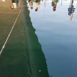 海上釣り堀　田尻　