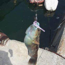 あじんぐのはずが