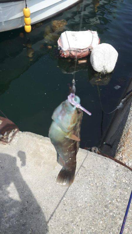 あじんぐのはずが