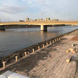 バチ抜けシーバス調査