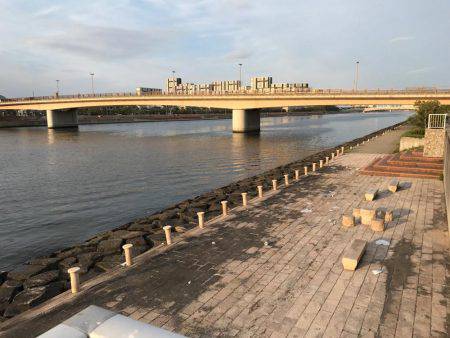 バチ抜けシーバス調査