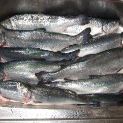 鳥取遠征２日目