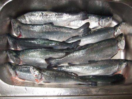 鳥取遠征２日目