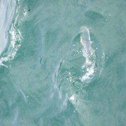 今だけの釣り。