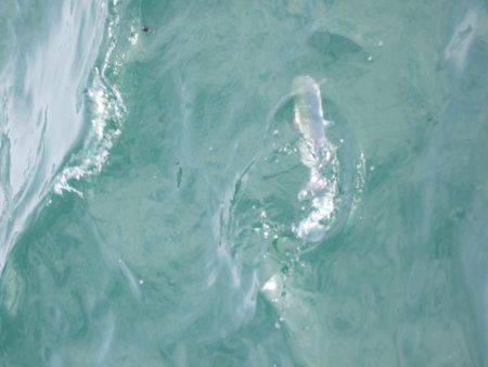 今だけの釣り。