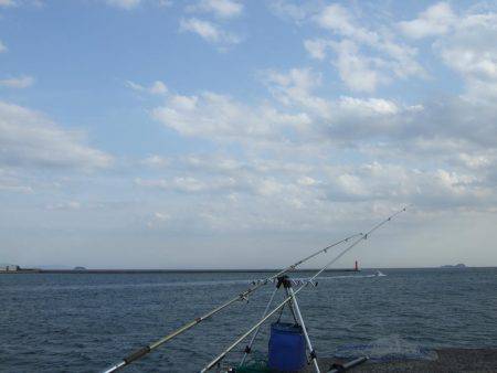 ゆるくカレイ狙い。しかし、