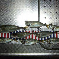 居残り、2日目。