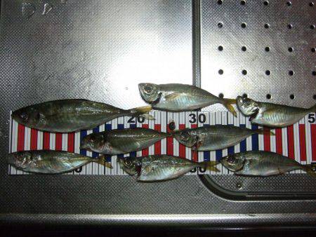 居残り、2日目。