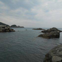 強風の中、磯のヤエン釣りでアオリイカ