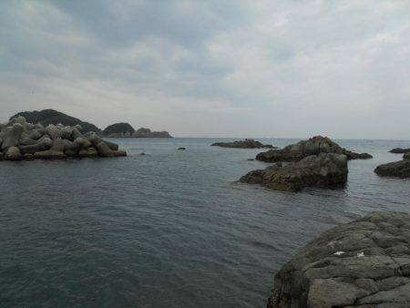 強風の中、磯のヤエン釣りでアオリイカ