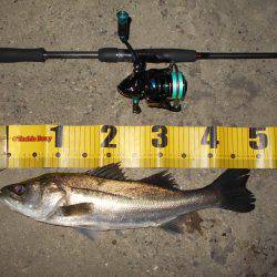 まだまだマイクロベイトパターン