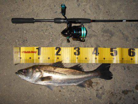 まだまだマイクロベイトパターン